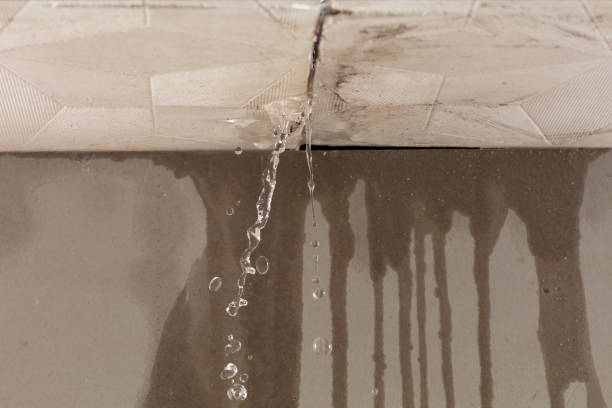 Professional Burst Pipe Cleanup technician working in Roseland, NJ